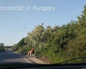 Hungarian street Gipsy hooker vol 4.