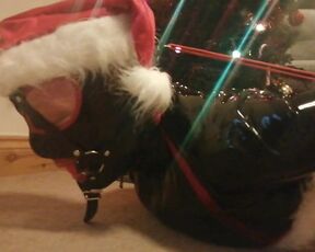 Louise Latex Naughty Santa Hogtied