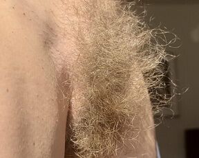 Hairy Sara's wild bush